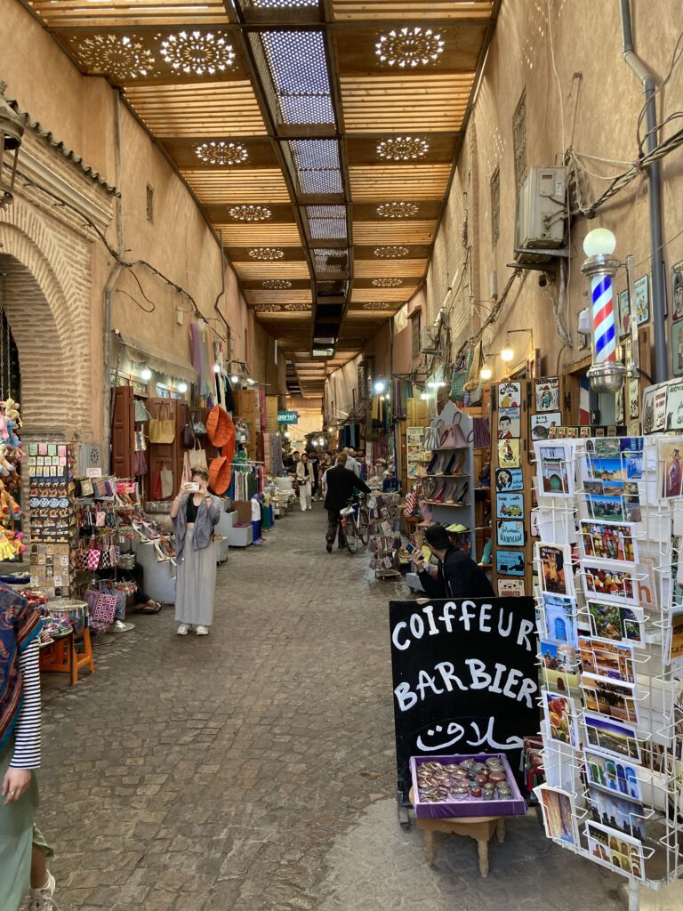 Scene in Jemma el-Fnaa, Marrakech