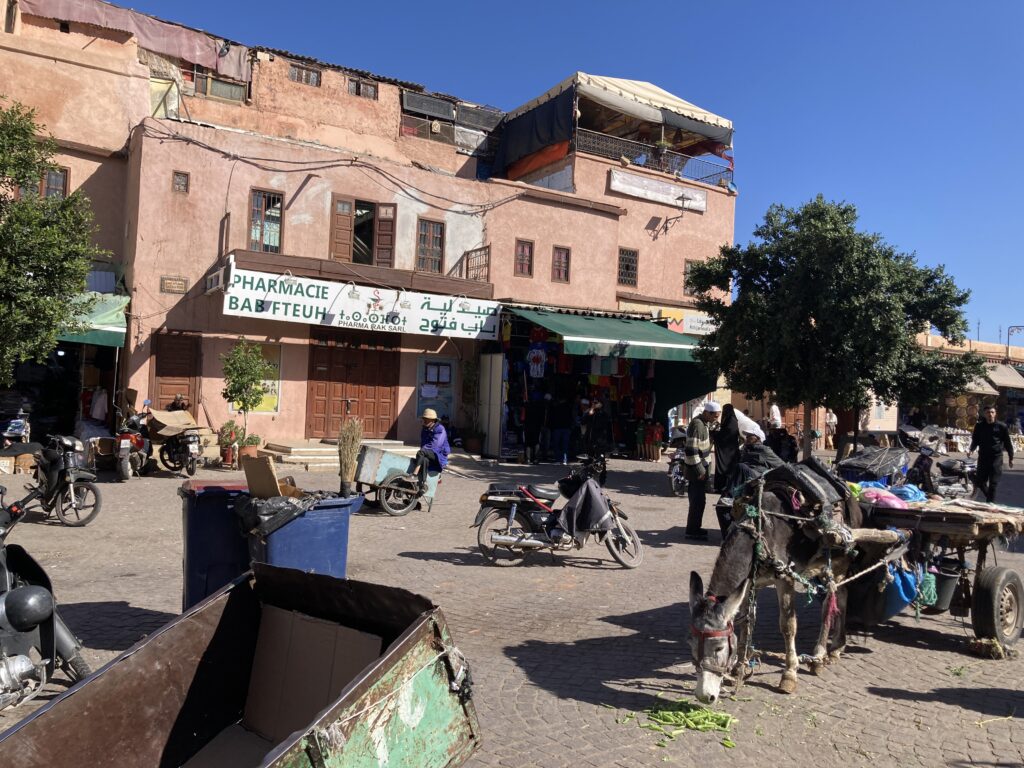A view in the Jemaa El-Fnaa marketplace