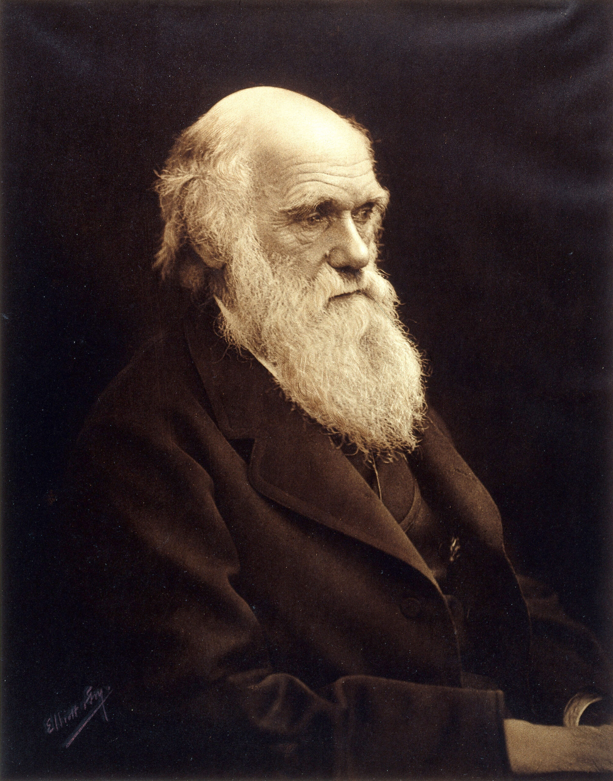 default Portrait photograph of Charles Darwin. Wellcome Collection. Source: Wellcome Collection.
