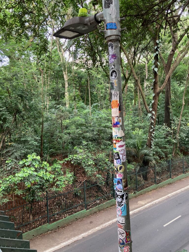 A view from the walkway bridge in Tenente Siqueira Campos Park - Trianon⁩, ⁨São Paulo, Brazil⁩