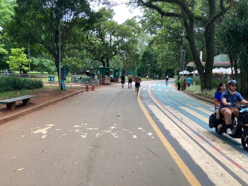 A view of ⁨Ibirapuera Parque⁩, São Paulo, Brasil