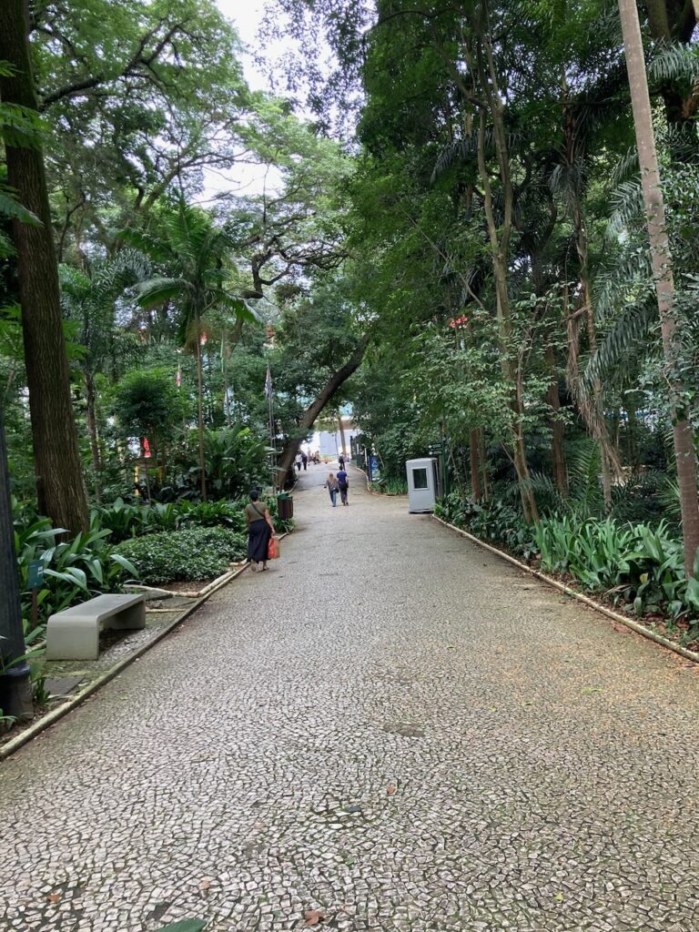 A view of Tenente Siqueira Campos Park - Trianon⁩, ⁨São Paulo, Brazil⁩