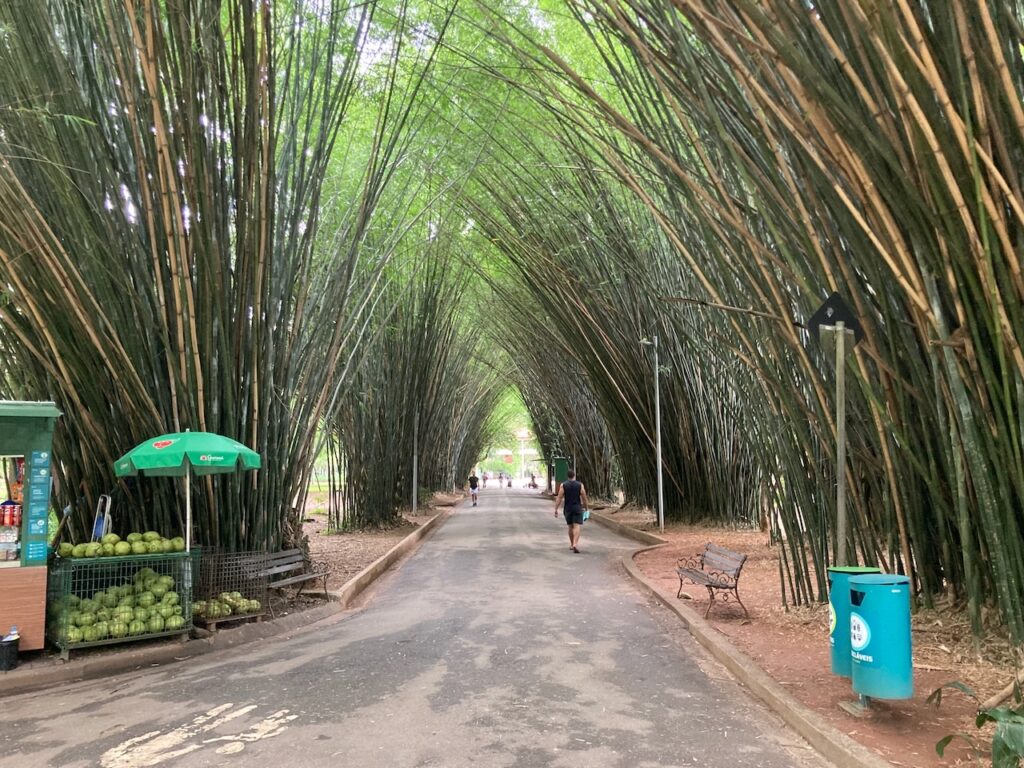 A view of ⁨Ibirapuera Parque⁩, São Paulo, Brasil