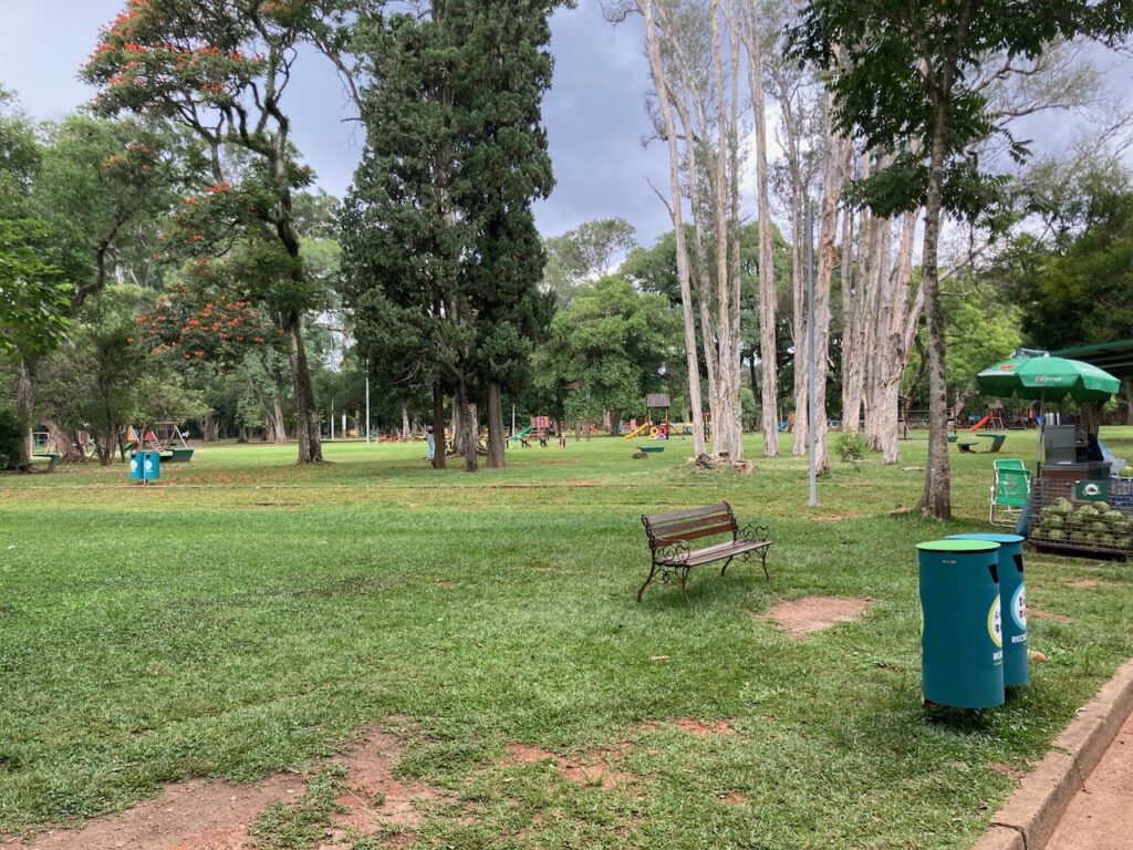 A view of ⁨Ibirapuera Parque⁩, São Paulo, Brasil