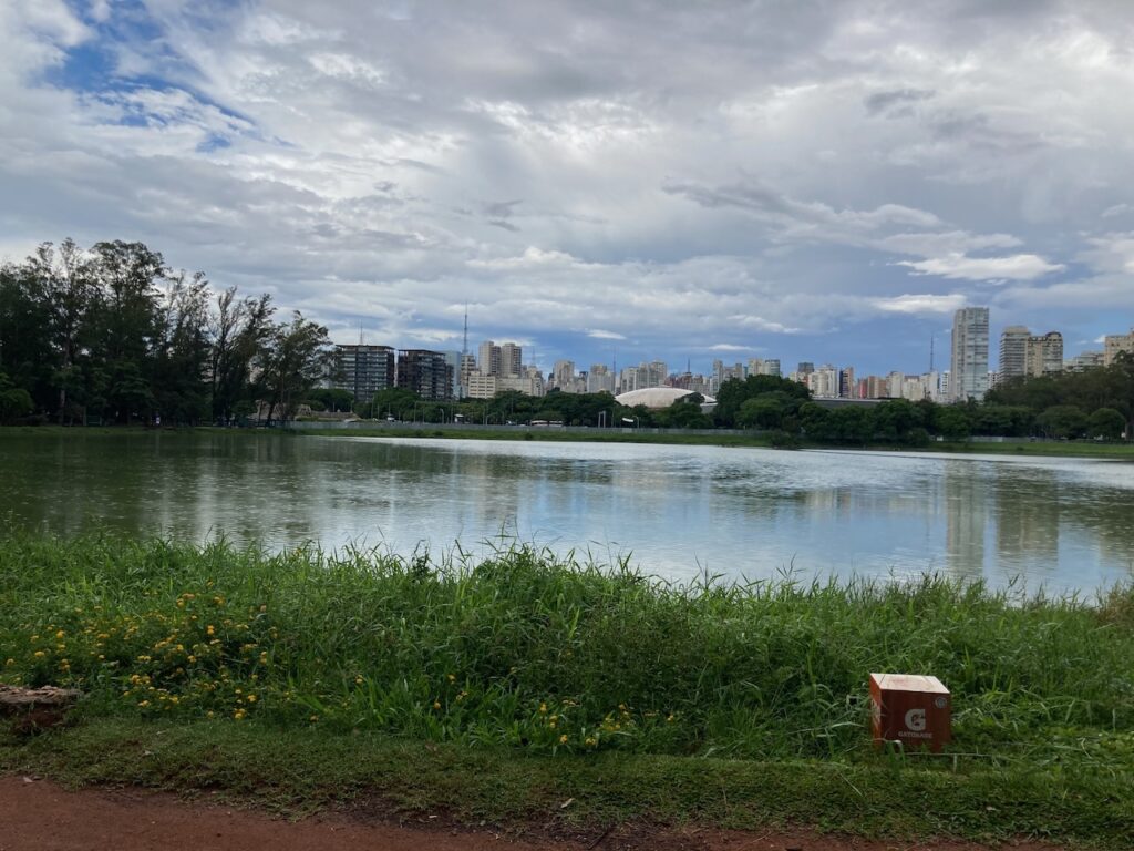 A view of ⁨Ibirapuera Parque⁩, São Paulo, Brasil