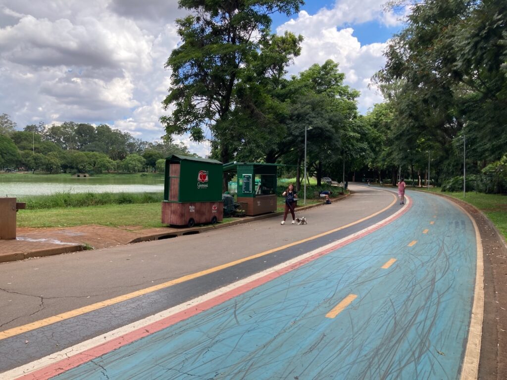 A view of ⁨Ibirapuera Parque⁩, São Paulo, Brasil