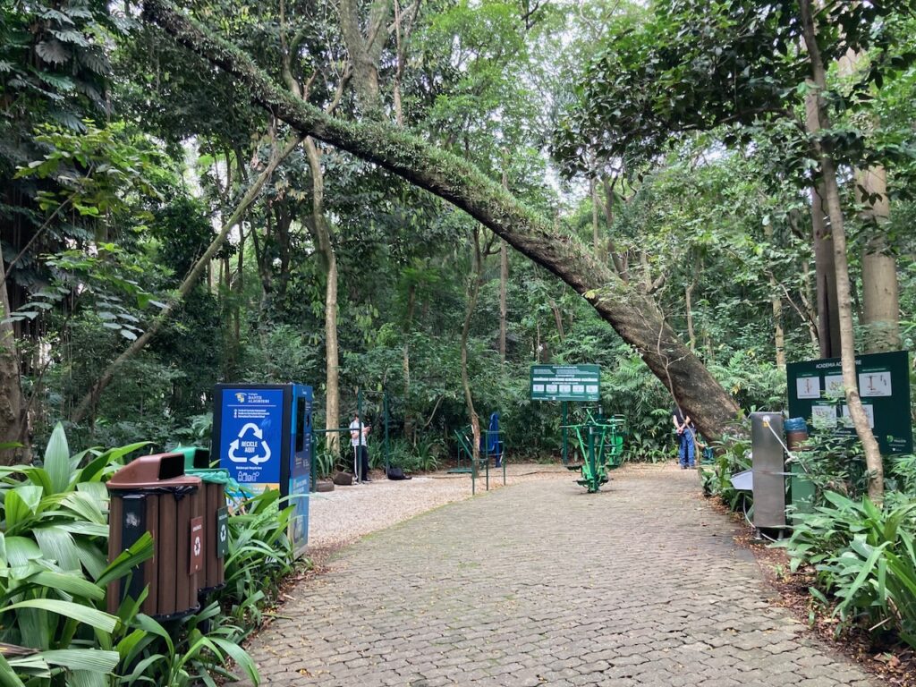 A view of Tenente Siqueira Campos Park - Trianon⁩, ⁨São Paulo, Brazil⁩