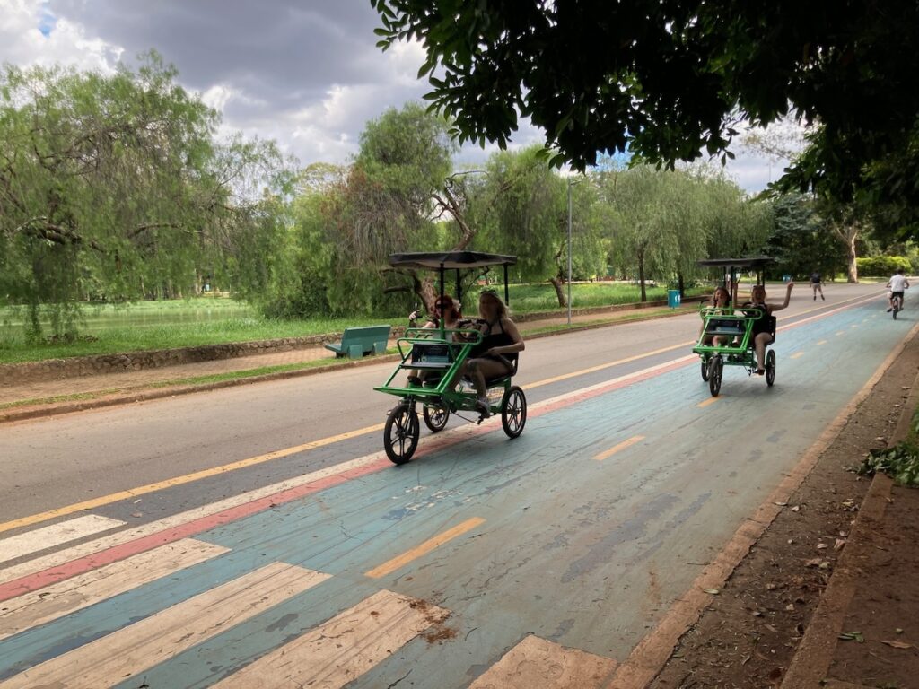A view of ⁨Ibirapuera Parque⁩, São Paulo, Brasil