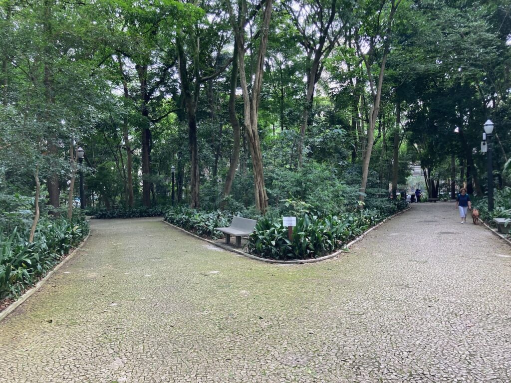 A view of Tenente Siqueira Campos Park - Trianon⁩, ⁨São Paulo, Brazil⁩