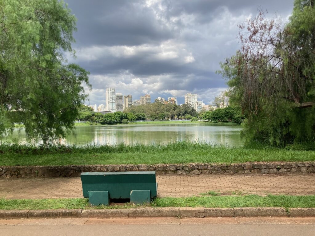 A view of ⁨Ibirapuera Parque⁩, São Paulo, Brasil