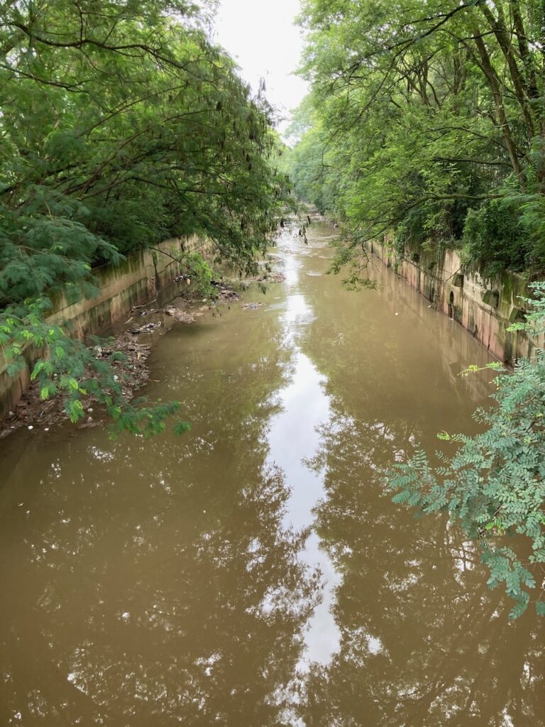 A view of Córrego Pirajuçara (Pirajuçara Stream) that flows through the Cidade Universitária Armando Salles de Oliveira⁩ campus of Universidade de São Paulo, ⁨São Paulo⁩, Brazil
