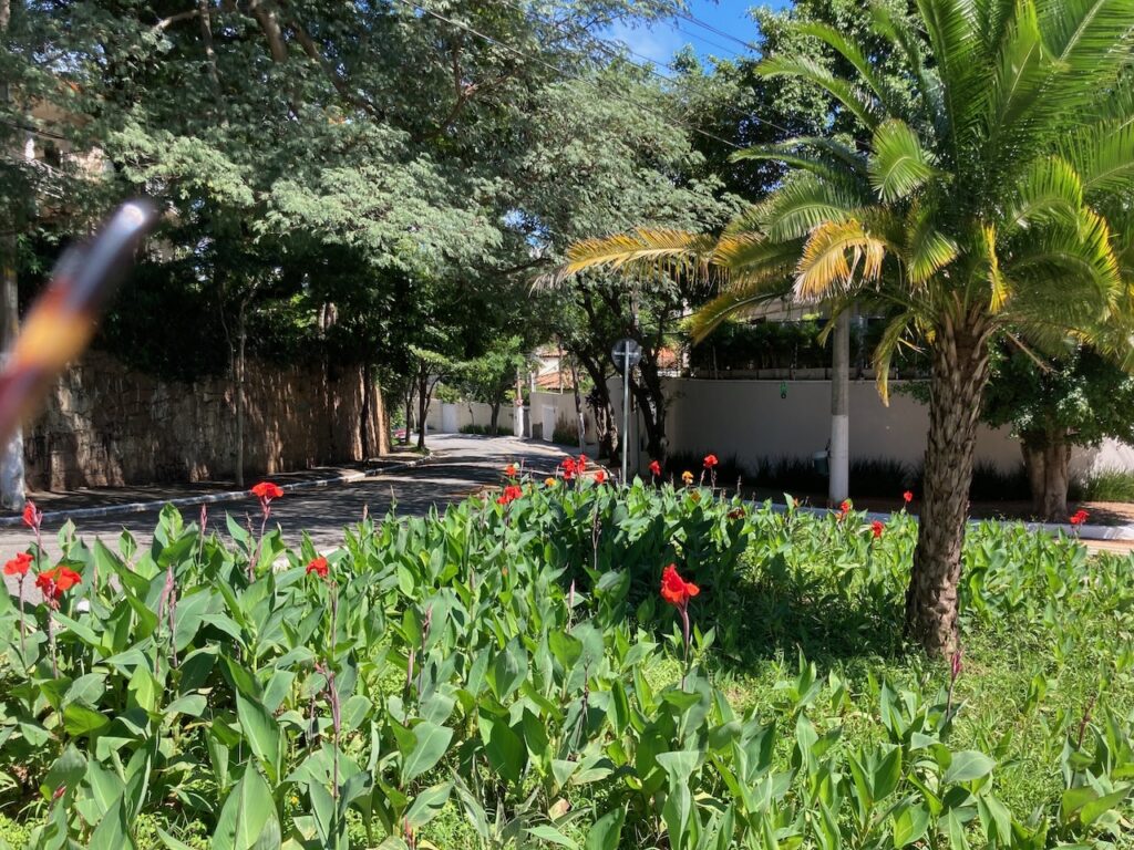 A view on Rua Des. Paulo Passaláqua in Sao Paulo, Brasil
